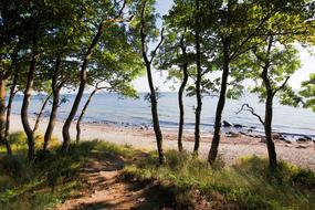 Landscape of Nature Waters sand bay