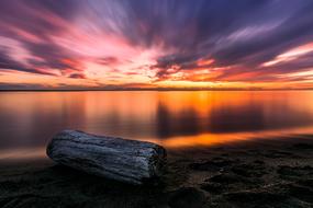 wooden log on the coast near the ocean during sunset