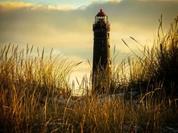 Lighthouse and Grass on Sea coast