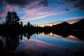 trees by the lake at dusk