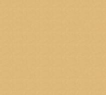 Sand Texture Seamless as background