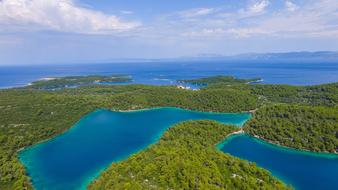 Nature Trees on islands Background