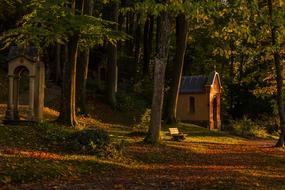 Landscape of the cemetery among the colorful forest, in sunlight and shadows, in the autumn