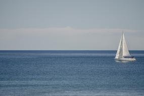 white sailboats on calm water in the ocean