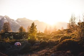 Camping for Adventure