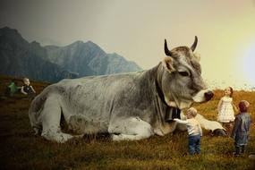 Cow Cowboy and Children