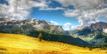 Beautiful and colorful Passo Gardena with plants, on the Dolomites, Italy