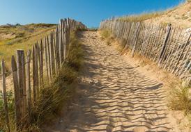 Beautiful landscape of the sandy beach path, among the colorful plants, with picket fence, in sunlight