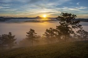 Beautiful landscape of the mountains with plants, in fog, at colorful and beautiful dawn