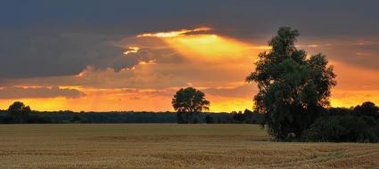 The West Sun Rays