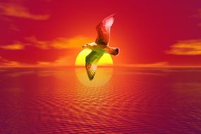 seagull in flight at setting sun, digital art