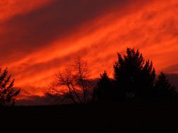 Beautiful silhouettes of the trees, at beautiful, red sunset in clouds