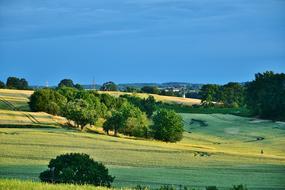 Beautiful landscape of the colorful fields with plants, under the blue sky, at twilight