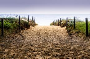 sandy road on the way to the sea