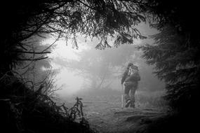 tourist in the woods in monochrome