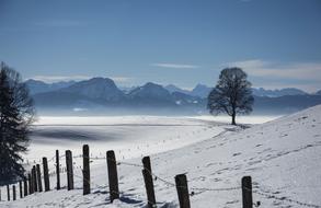 Snow Tree Sea Of Fog Landscape