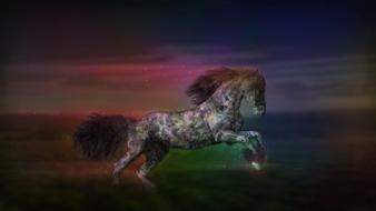 neon colors horse