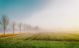 thick fog over an agricultural field in Germany