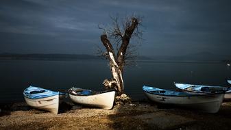 boats and dry tree by the lake