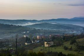 trees and houses in a green valley