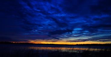 Sunrise Wetlands Morning