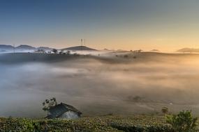 panoramic view of tea plantations in vietnam in the morning