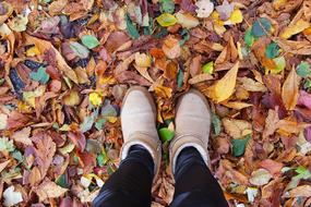 Shoes at Fall leaves