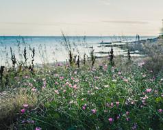Sea Landscape Beach