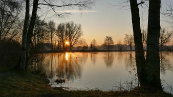 sunrise in the tree branches over the lake