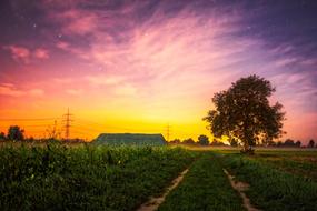 purple colorful sky over countryside