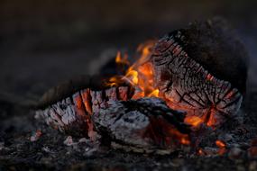 Close-up of the burning, colorful campfire with wood, among the darkness