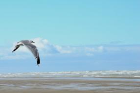 Sea Beach Stella Hauts De