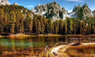 trees by the lake against the backdrop of mountains in italy