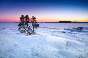 Winter Sea Frozen Landscape