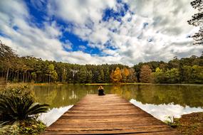 Landscape of lake nature