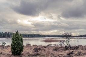 landscape of Water River Nature