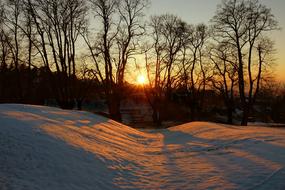 Beautiful, snowy landscape with plants, at colorful and beautiful dusk, in the winter