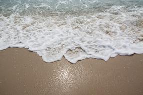 foam surf on wet sand close-up