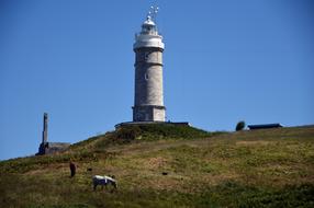 Landscape Lighthouse Horses