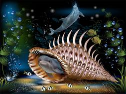 fantasy dolphins shell clipart