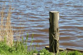 Wooden bollard at the pier of the lake, with colorful plants in sunlight