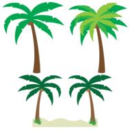 palm trees trees palm tree vector