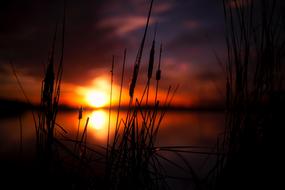 dark twilight over the lake in blurred background