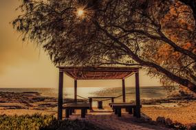 Hut with tables, among the plants, on the beautiful and colorful beach at sunset