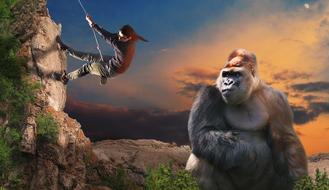 Climbing person on the mountain, and gorilla, at colorful sunset with clouds, clipart