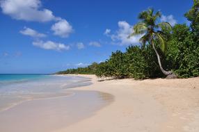 Sand Beach in the tropics on a sunny day