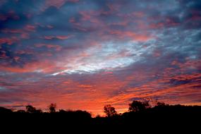 red orange evening sky above the trees