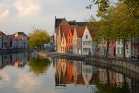 trees and buildings on the banks of the canal in belgium