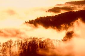 Sunrise Dawn Fog