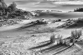 Dunes Sand in monochrome